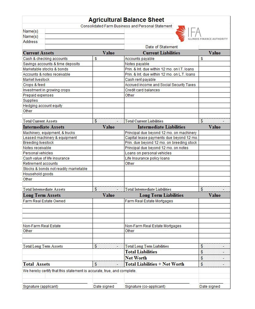 38 Free Balance Sheet Templates & Examples   Template Lab