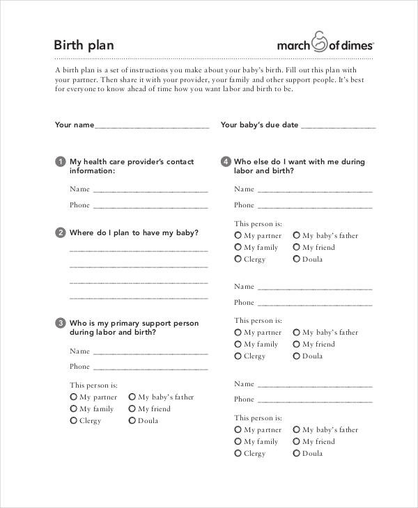 Birth Plan Template | Printable | Bub Hub
