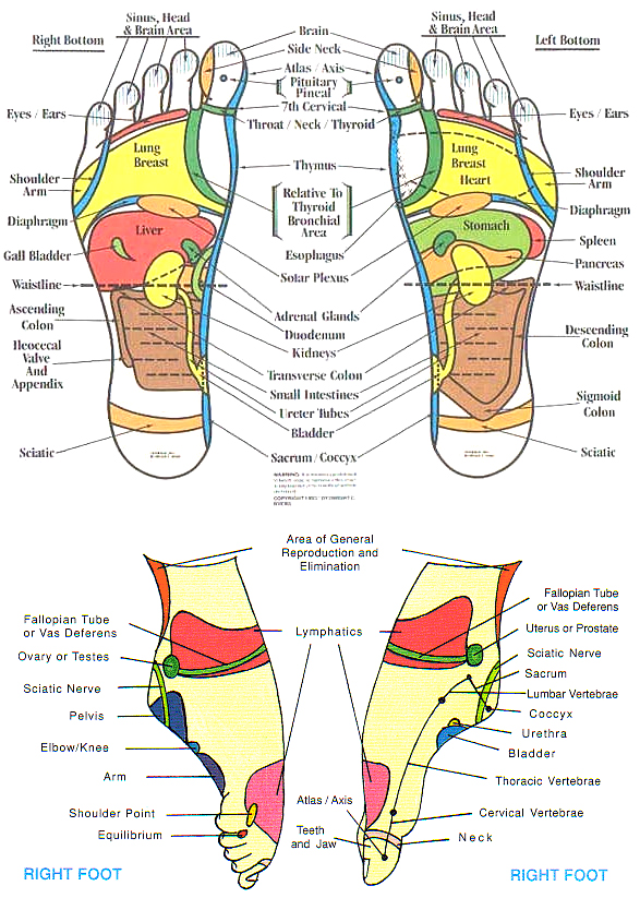foot reflexology chart 21 screenshot | Me | Pinterest | Foot 