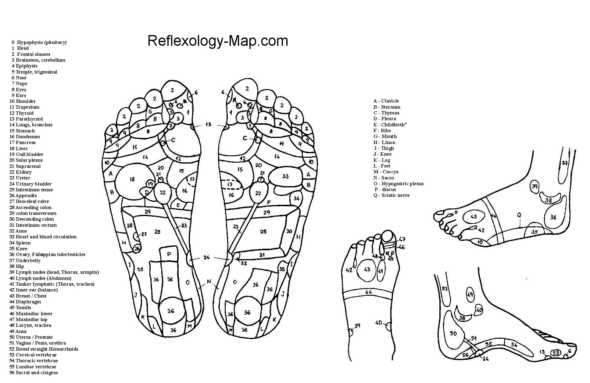 Gratis Download 5 Best Foot Reflexology Chart! (Updated: 2018)