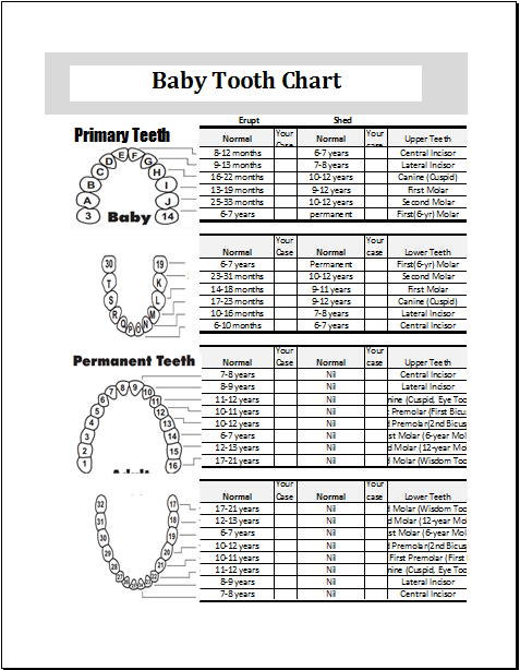 Pictures: Primary Teeth Chart Letters, ANATOMY LABELLED
