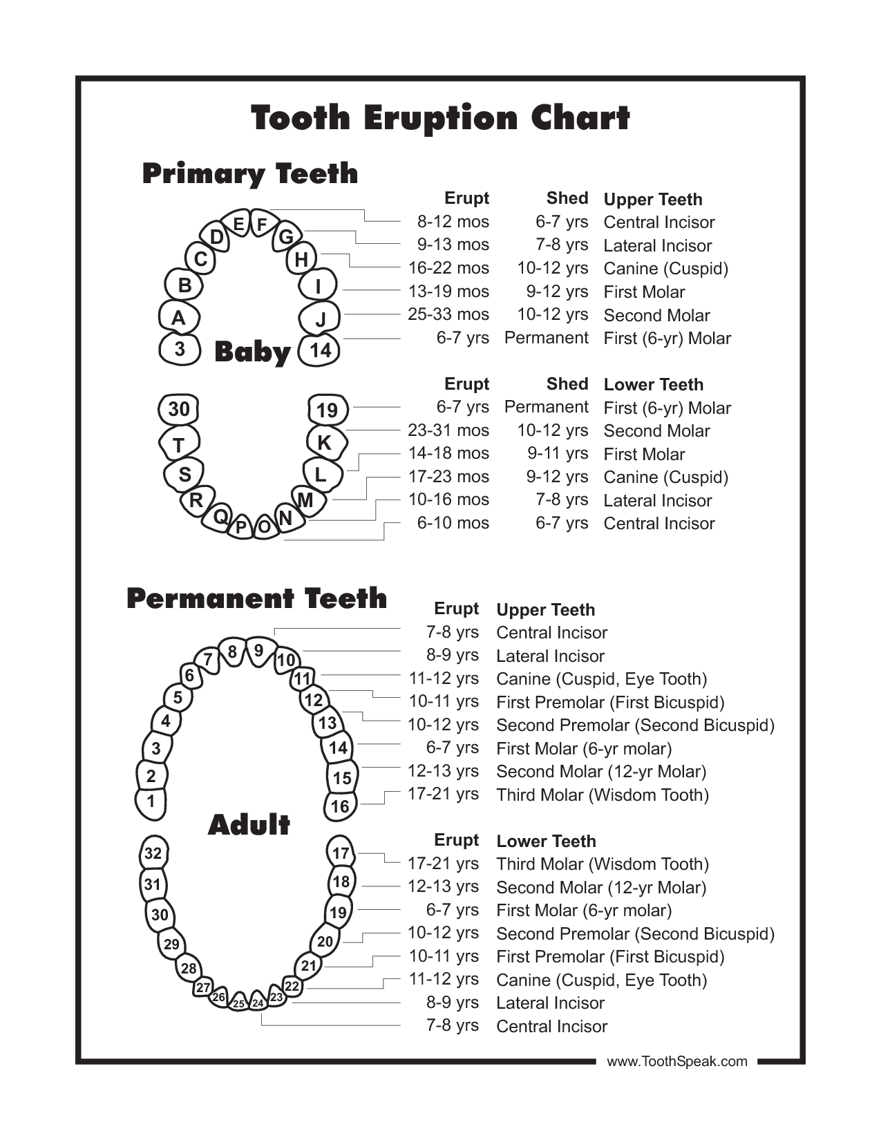 Baby Tooth Chart Document Sample My son is 14 months and is JUST 