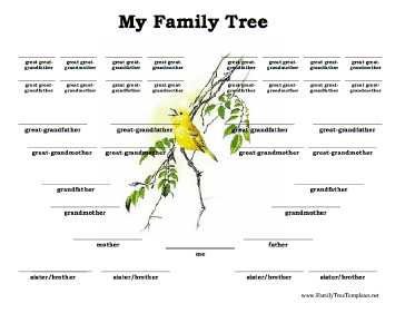 5 Generation Family Tree with Siblings Template