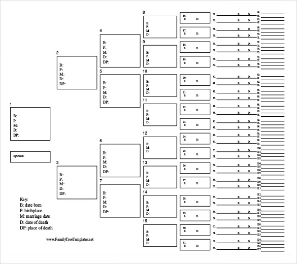 free family tree template word 37 family tree templates pdf doc 