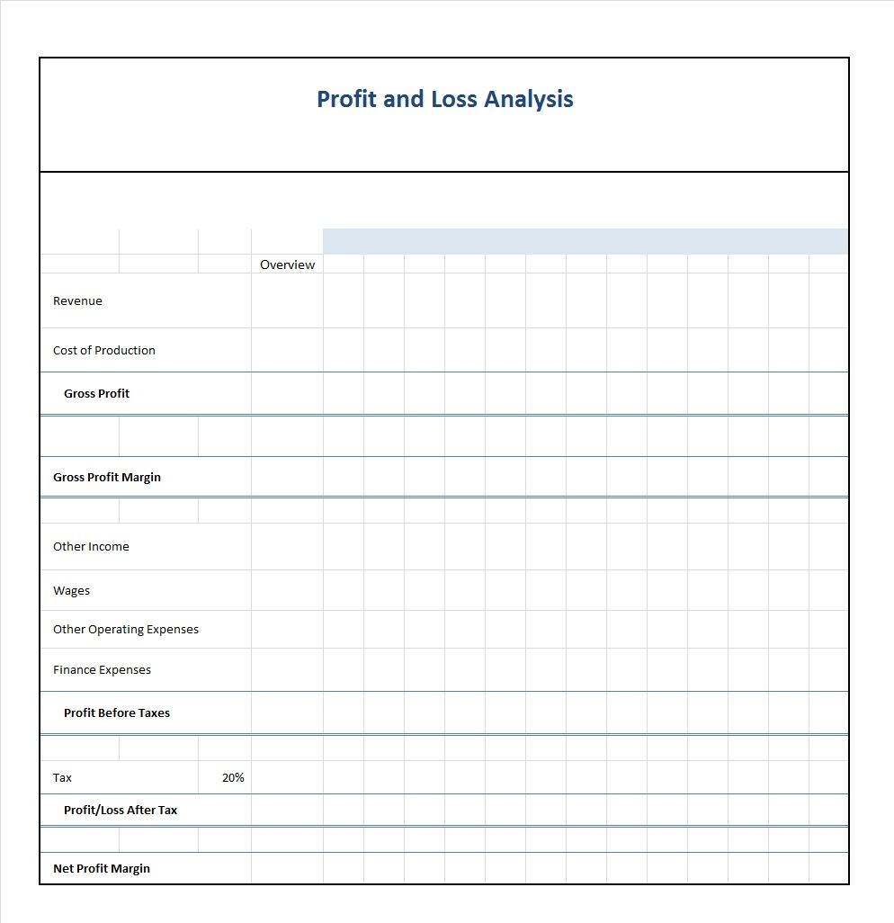 business profit and loss statement sample   Ecza.solinf.co