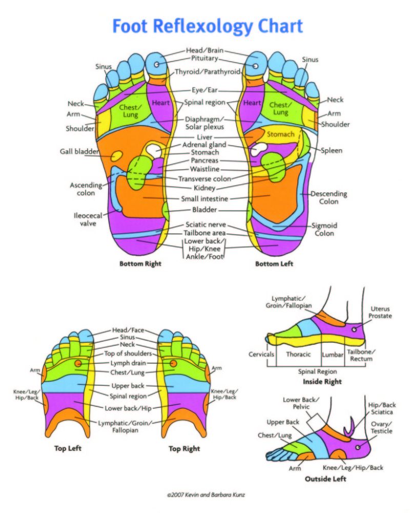 31 Printable Foot Reflexology Charts & Maps Template Lab