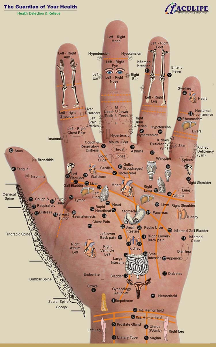 Reflexology Charts: Hand, Foot & Ear Reflexology Chart Tips!