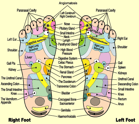 Reflexology Live: Reflexology Foot Maps to Maximise Your Massage 